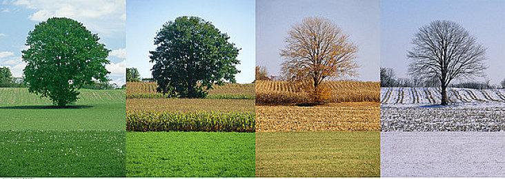 复古风砍杀游戏《窃血之徒》将于9月22日正式发售